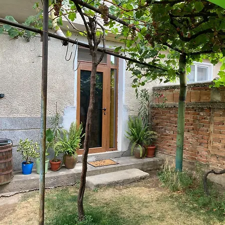 Garden 卡尔洛沃